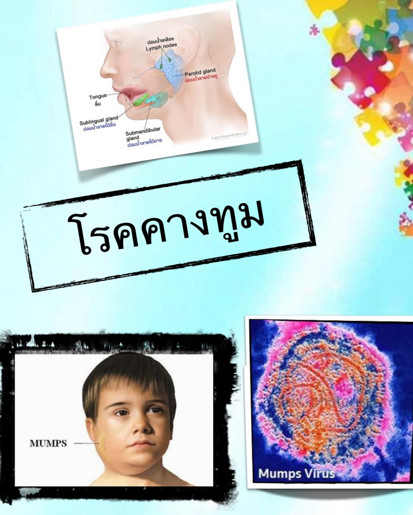 IMG_2927.PNG.2