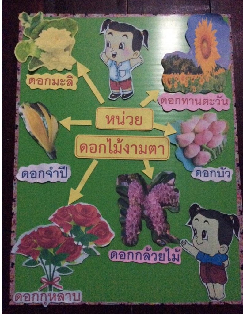 IMG_8567.PNG