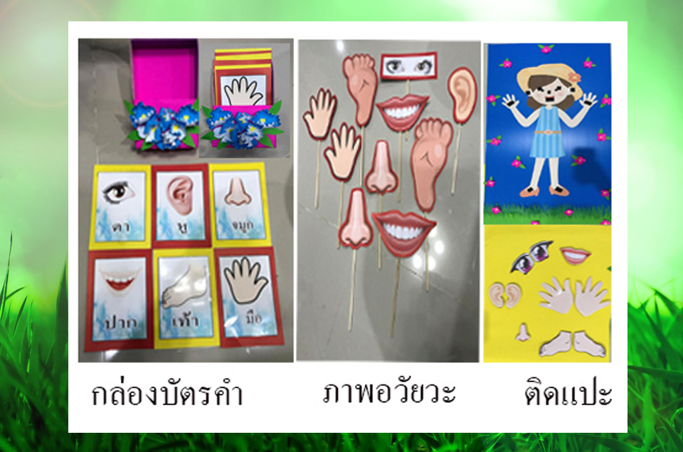 สื่ออวัยวะ.jpg.1