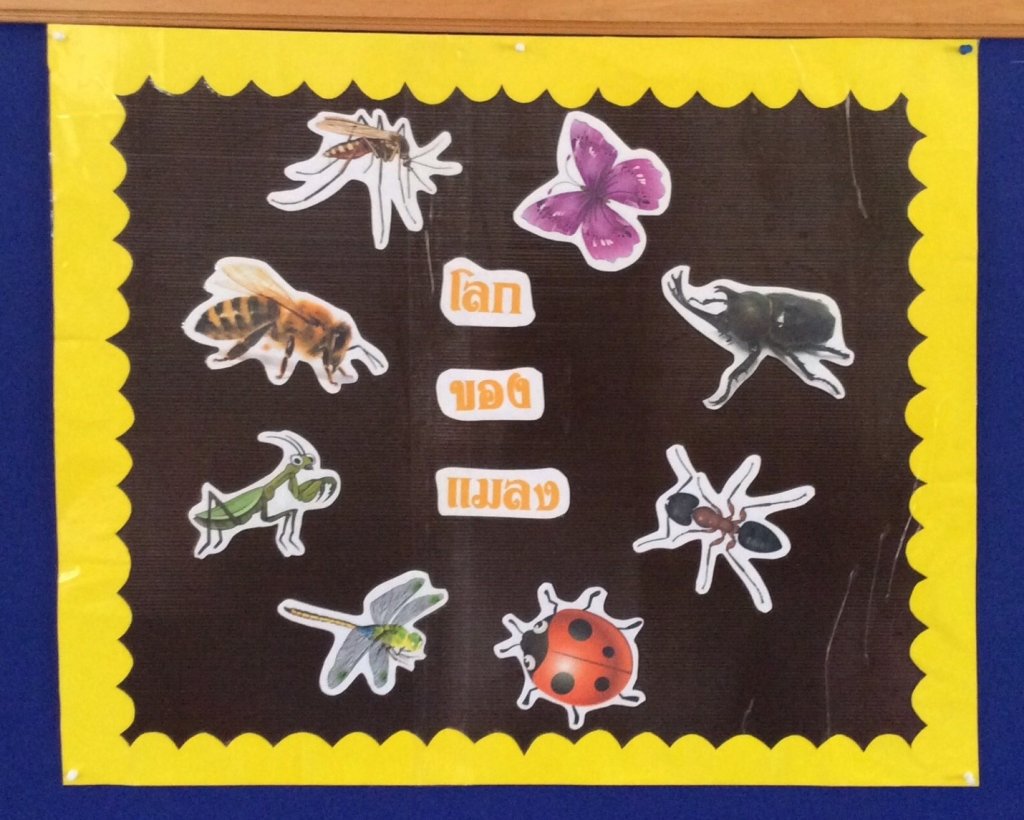 ป้ายนิเทศ.jpg.1