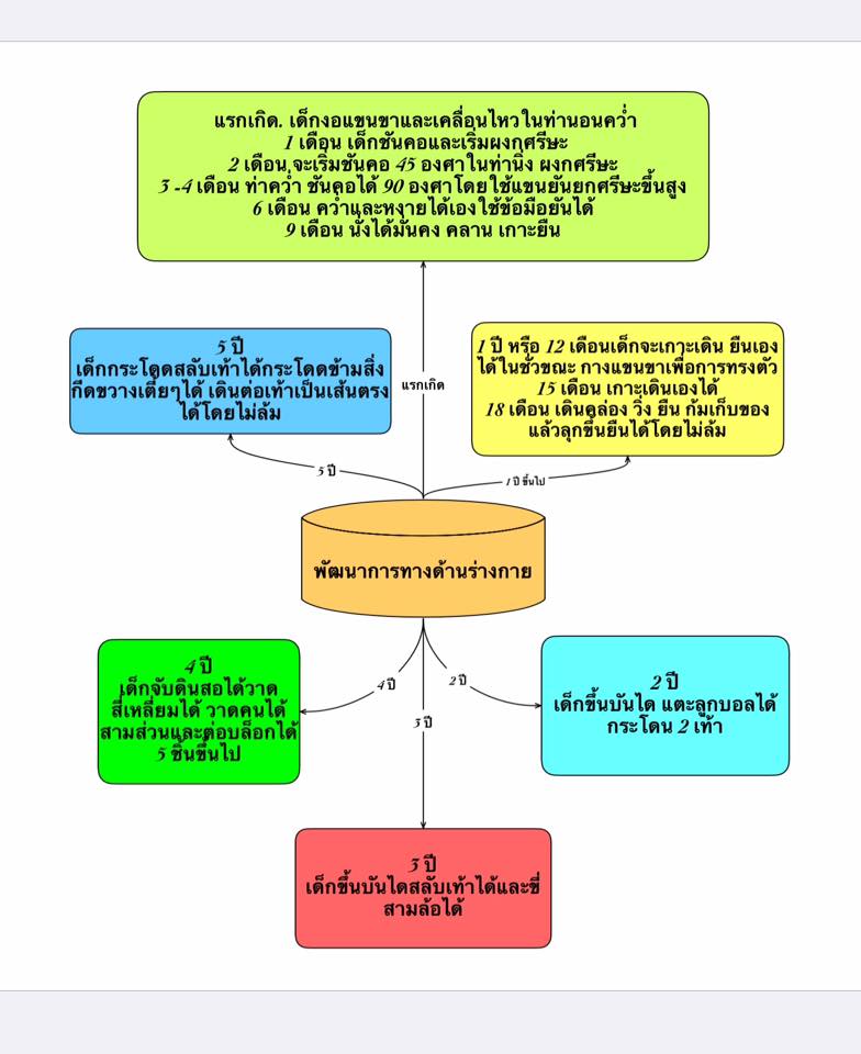 ทักษะทางกาย.jpg.1