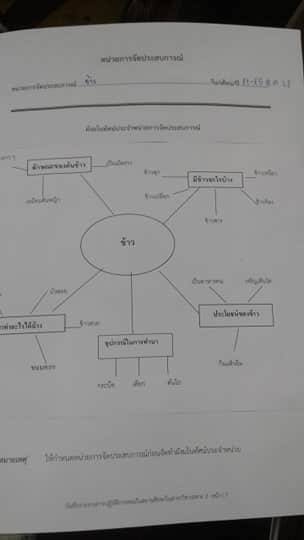 แผนผังข้าว.jpg