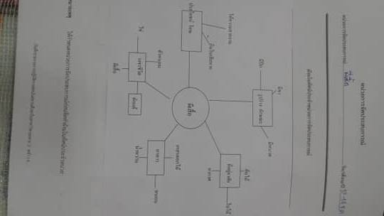 แผนผังผีเสื้อ.jpg